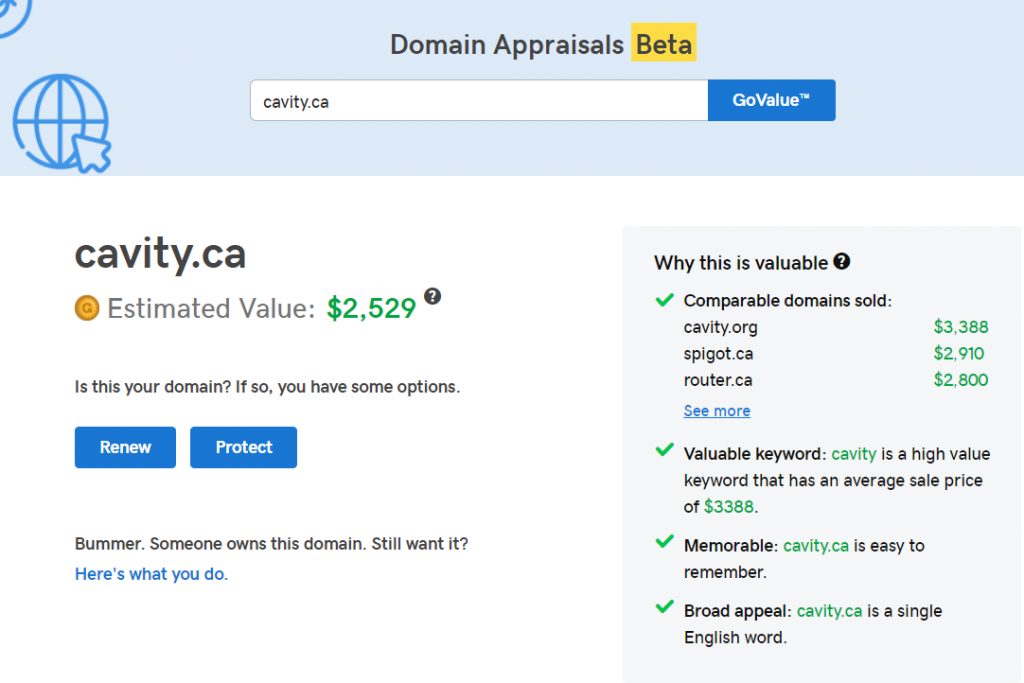 GoDaddy estimates that the wholesale value of cavity.ca is $2529 USD